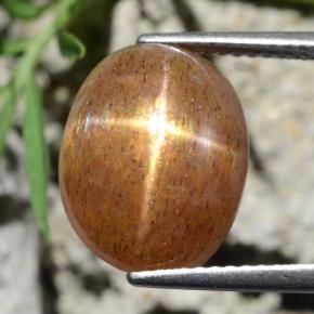 Piedra solar estrella Marrón-oro natural de 8.39 ct, Corte Óvalo, Opaco