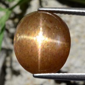 Piedra solar estrella Marrón-oro natural de 9.24 ct, Corte Óvalo, Opaco