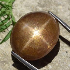 Piedra sol estrella marrón-oro natural de 39,02 ct, corte óvalo, opaco