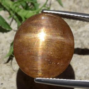 Piedra solar estrella Marrón-oro natural de 12.29 ct, Corte Óvalo, Opaco