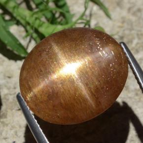 Piedra solar estrella Marrón-oro natural de 12.29 ct, Corte Óvalo, Opaco