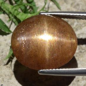 Piedra solar estrella Marrón-oro natural de 12.29 ct, Corte Óvalo, Opaco