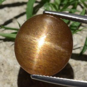 Piedra solar estrella Marrón-oro natural de 12.58 ct, Corte Óvalo, Opaco