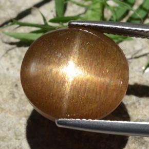 Piedra solar estrella Marrón-oro natural de 12.58 ct, Corte Óvalo, Opaco