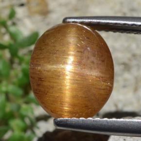 Piedra solar estrella Marrón-oro natural de 4.53 ct, Corte Óvalo, Opaco