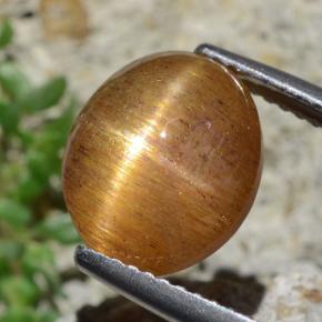 Piedra solar estrella Marrón-oro natural de 4.53 ct, Corte Óvalo, Opaco