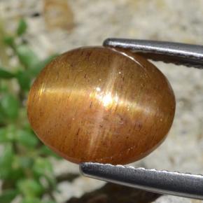 Piedra solar estrella Marrón-oro natural de 4.53 ct, Corte Óvalo, Opaco