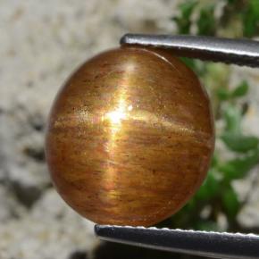 Piedra solar estrella Marrón-oro natural de 8.30 ct, Corte Óvalo, Opaco