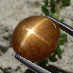 Piedra solar estrella Marrón-oro natural de 8.30 ct, Corte Óvalo, Opaco