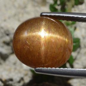 Piedra solar estrella Marrón-oro natural de 8.30 ct, Corte Óvalo, Opaco