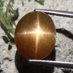 Piedra solar estrella Marrón-oro natural de 7.06 ct, Corte Óvalo, Opaco
