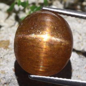 Piedra sol estrella marrón natural de 9,36 ct, corte óvalo, opaco