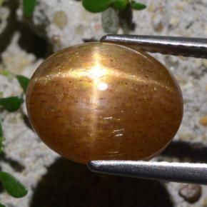 Piedra solar estrella Marrón-oro natural de 5.40 ct, Corte Óvalo, Opaco