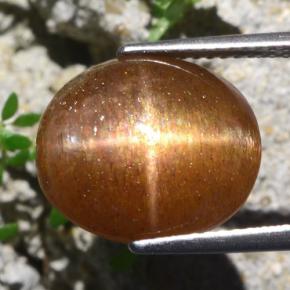 Piedra solar estrella Marrón-oro natural de 9.51 ct, Corte Óvalo, Opaco