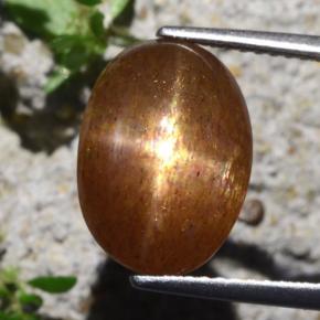 Piedra sol estrella marrón natural de 6,29 ct, corte óvalo, opaco