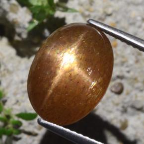 Piedra sol estrella marrón natural de 6,29 ct, corte óvalo, opaco