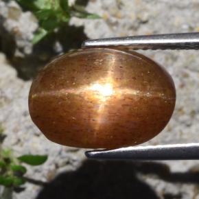 Piedra sol estrella marrón natural de 6,29 ct, corte óvalo, opaco