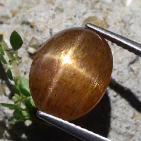 Piedra solar estrella Marrón-oro natural de 7.04 ct, Corte Óvalo, Opaco