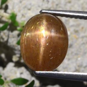 Piedra sol estrella marrón-oro natural de 4,31 ct, corte óvalo, opaco