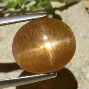 Piedra solar estrella Marrón-oro natural de 3.99 ct, Corte Óvalo, Translúcido