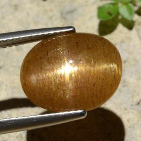 Piedra solar estrella Marrón-oro natural de 6.61 ct, Corte Óvalo, Opaco