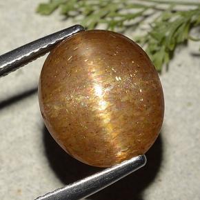 Piedra solar estrella Marrón-oro natural de 7.25 ct, Corte Óvalo, Translúcido