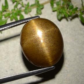 Piedra solar estrella Marrón-oro natural de 16.93 ct, Corte Óvalo, Opaco