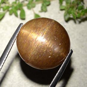 Piedra solar estrella Marrón-oro natural de 15.15 ct, Corte Redondo, Opaco