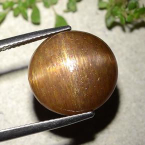 Piedra solar estrella Marrón-oro natural de 15.15 ct, Corte Redondo, Opaco