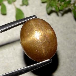 Piedra solar estrella Marrón-oro natural de 6.21 ct, Corte Óvalo, Opaco