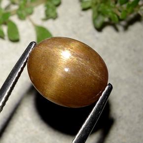 Piedra solar estrella Marrón-oro natural de 6.21 ct, Corte Óvalo, Opaco