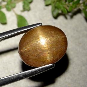 Piedra solar estrella Marrón-oro natural de 6.21 ct, Corte Óvalo, Opaco