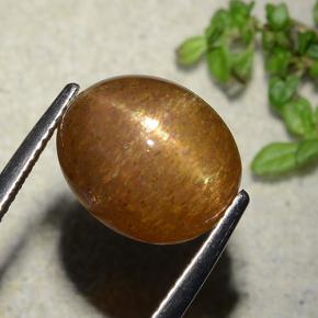 Piedra solar estrella Marrón-oro natural de 7.51 ct, Corte Óvalo, Opaco