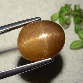 Piedra solar estrella Marrón-oro natural de 7.51 ct, Corte Óvalo, Opaco