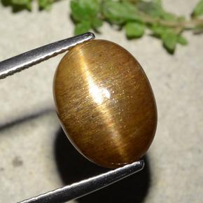 Piedra solar estrella Marrón-oro natural de 7.67 ct, Corte Óvalo, Opaco