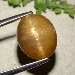 Piedra sol estrella dorado natural de 8,25 ct, corte óvalo, opaco