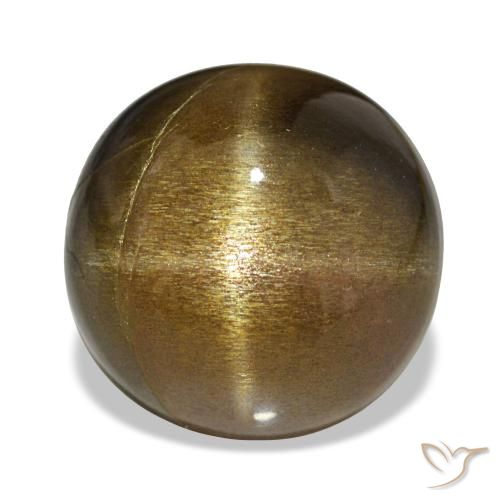 Piedra solar estrella Marrón dorado natural de 11.00 ct, Corte Óvalo, Opaco