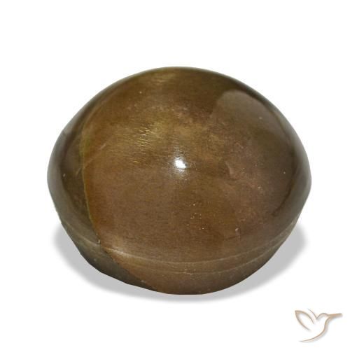 Piedra solar estrella Marrón dorado natural de 11.00 ct, Corte Óvalo, Opaco