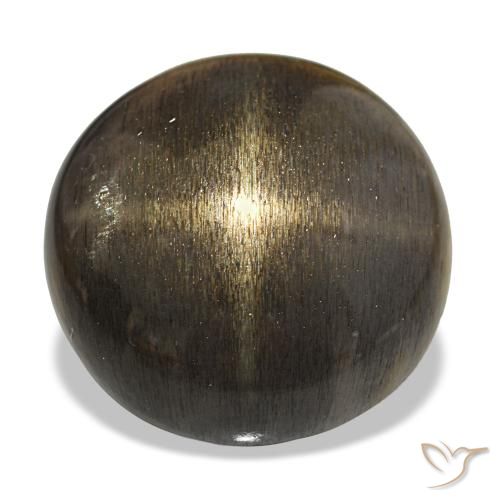 Piedra solar estrella Medium Light-Brown natural de 18.38 ct, Corte Redondo, Opaco