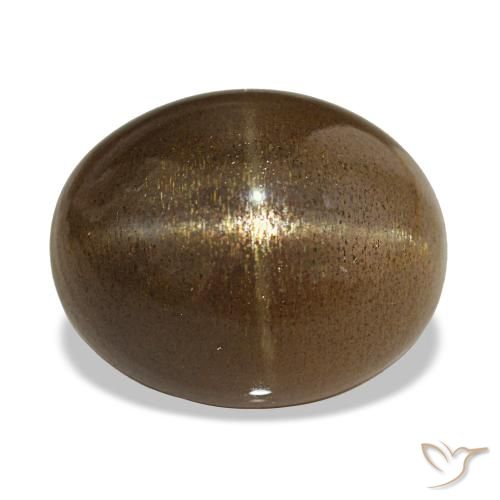 Piedra solar estrella Marrón café natural de 13.92 ct, Corte Óvalo, Opaco
