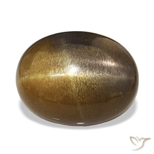 10.87ct Marrón medio Piedra solar estrella, Ovalada, Opaco