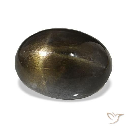 Piedra solar estrella Medium Light-Brown natural de 14.54 ct, Corte Óvalo, Opaco