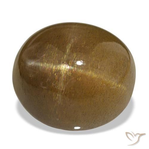 Piedra solar estrella Marrón caramelo claro natural de 20.58 ct, Corte Óvalo, Opaco