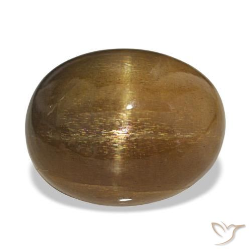 20.70ct Marrón claro Piedra solar estrella, Ovalada, Opaco