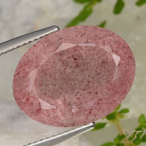 15.43ct Natural Rojo púrpura cuarzo fresa, Ovalada, Translúcido