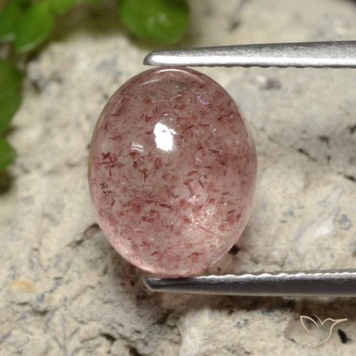 3.71ct Natural Rosado medio cuarzo fresa, Ovalada, Translúcido