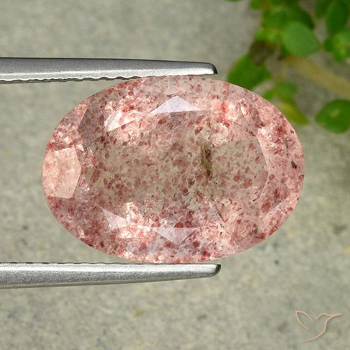 6.28ct Natural Rosado terroso cuarzo fresa, Ovalada, Translúcido