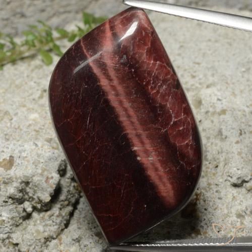 49.22ct Natural Marrón Matriz Ojo de Tigre, Elegante, Opaco
