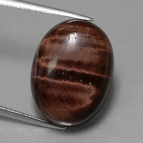 Tiger's eye matrix multicolor natural de 21,49 ct, corte óvalo, opaco