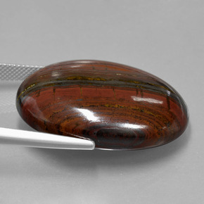 Matriz Ojo de Tigre Multicolor natural de 49.03 ct, Corte Óvalo, Opaco
